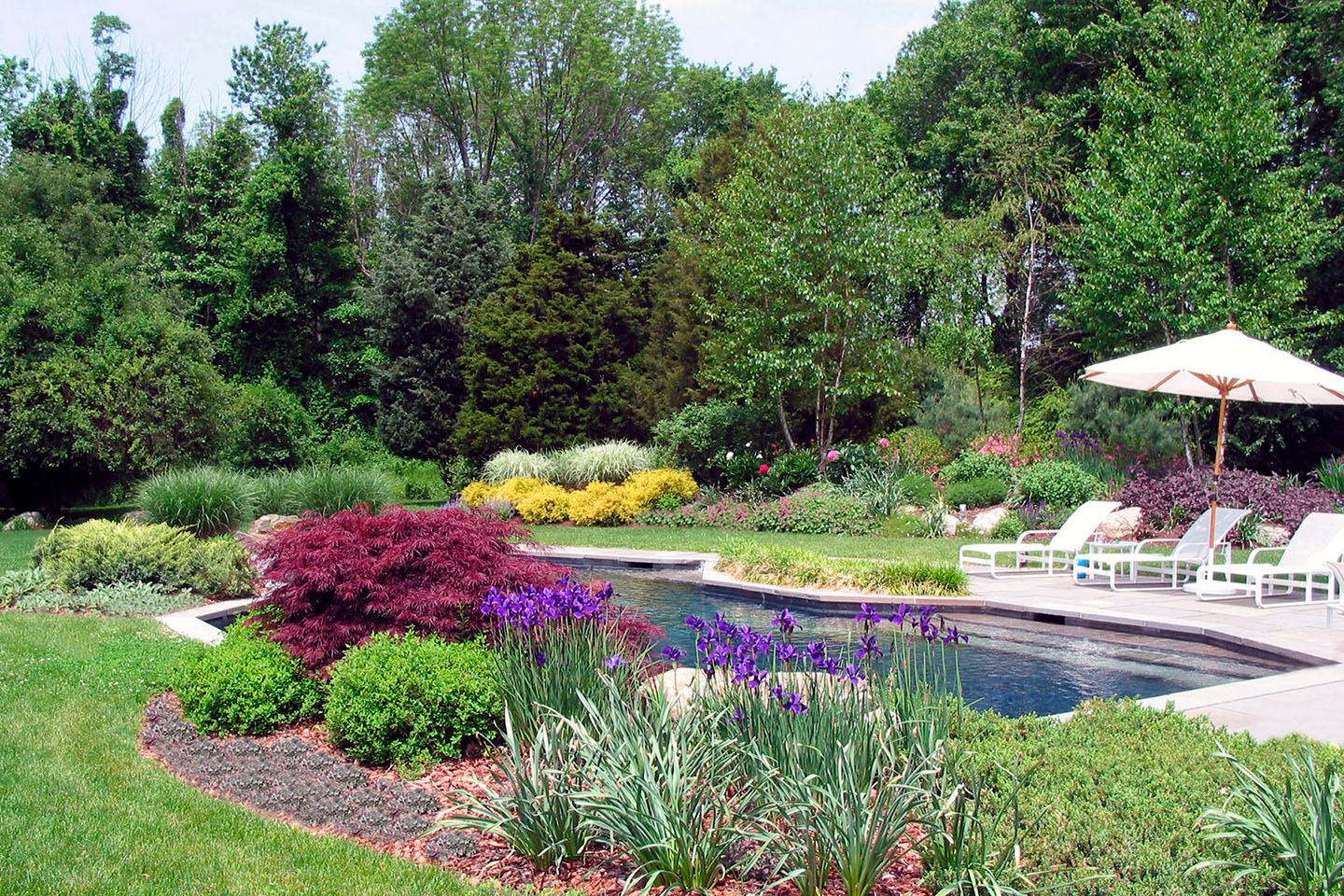 greenscape-design-llc-portfolio-swimming-pool-planting